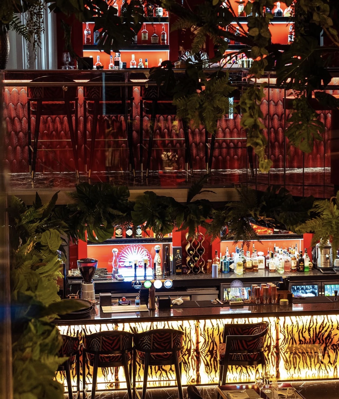 Shere Khan Restaurant Enfield — Gallery Image 5